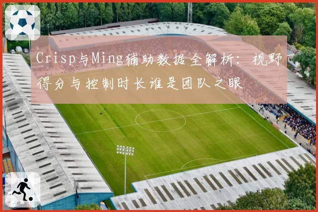 Crisp与Ming辅助数据全解析:视野得分与控制时长谁是团队之眼