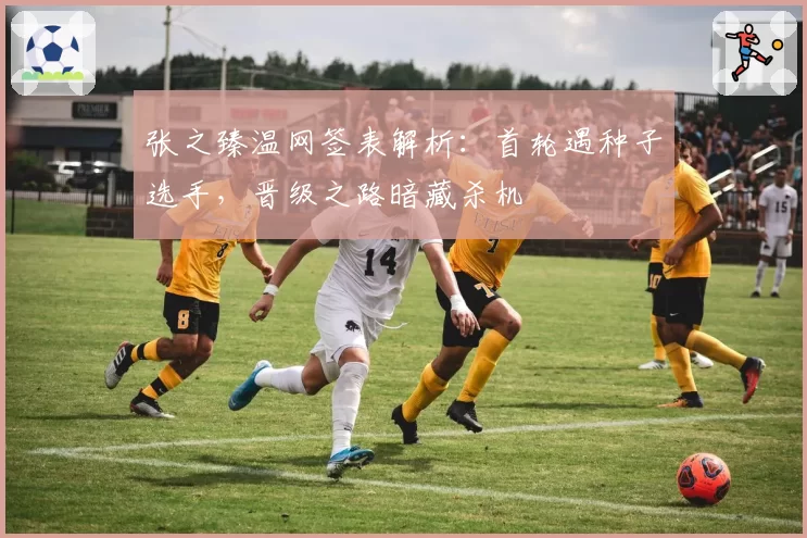 张之臻温网签表解析:首轮遇种子选手,晋级之路暗藏杀机