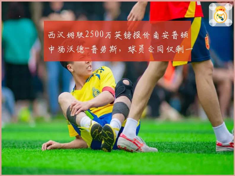 西汉姆联2500万英镑报价南安普顿中场沃德-普劳斯，球员合同仅剩一年