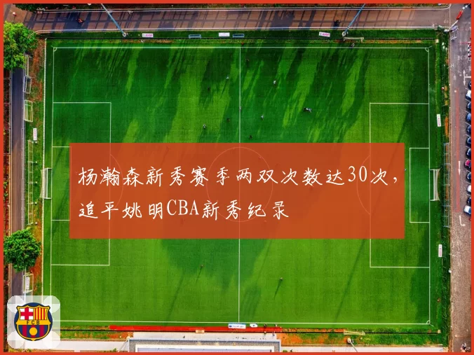 杨瀚森新秀赛季两双次数达30次,追平姚明CBA新秀纪录
