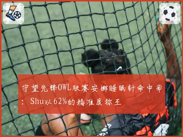 守望先锋OWL联赛安娜睡眠针命中率:Shu以62%的精准度称王